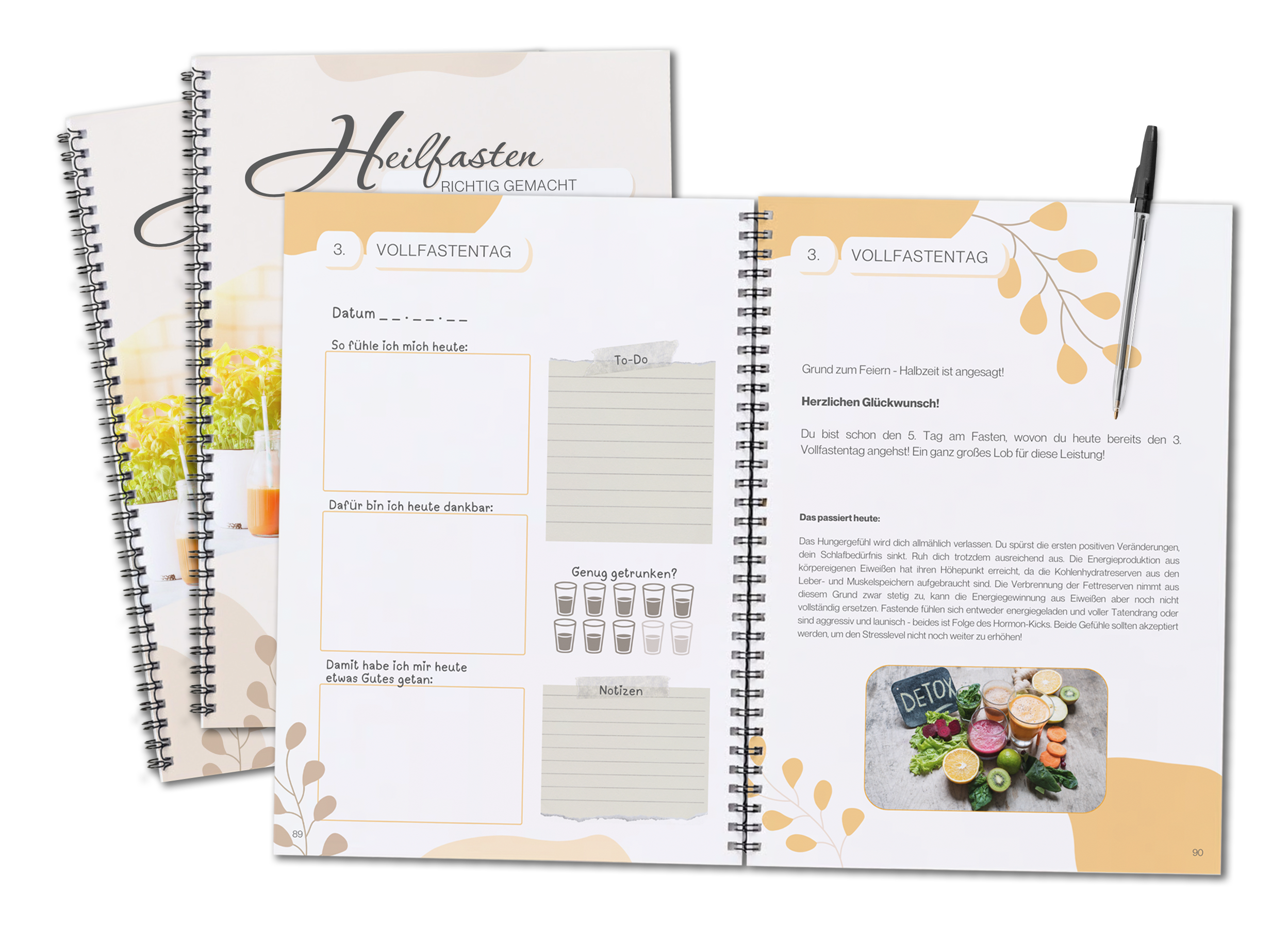 Fasten Workbook Einblick - Deine Anleitung